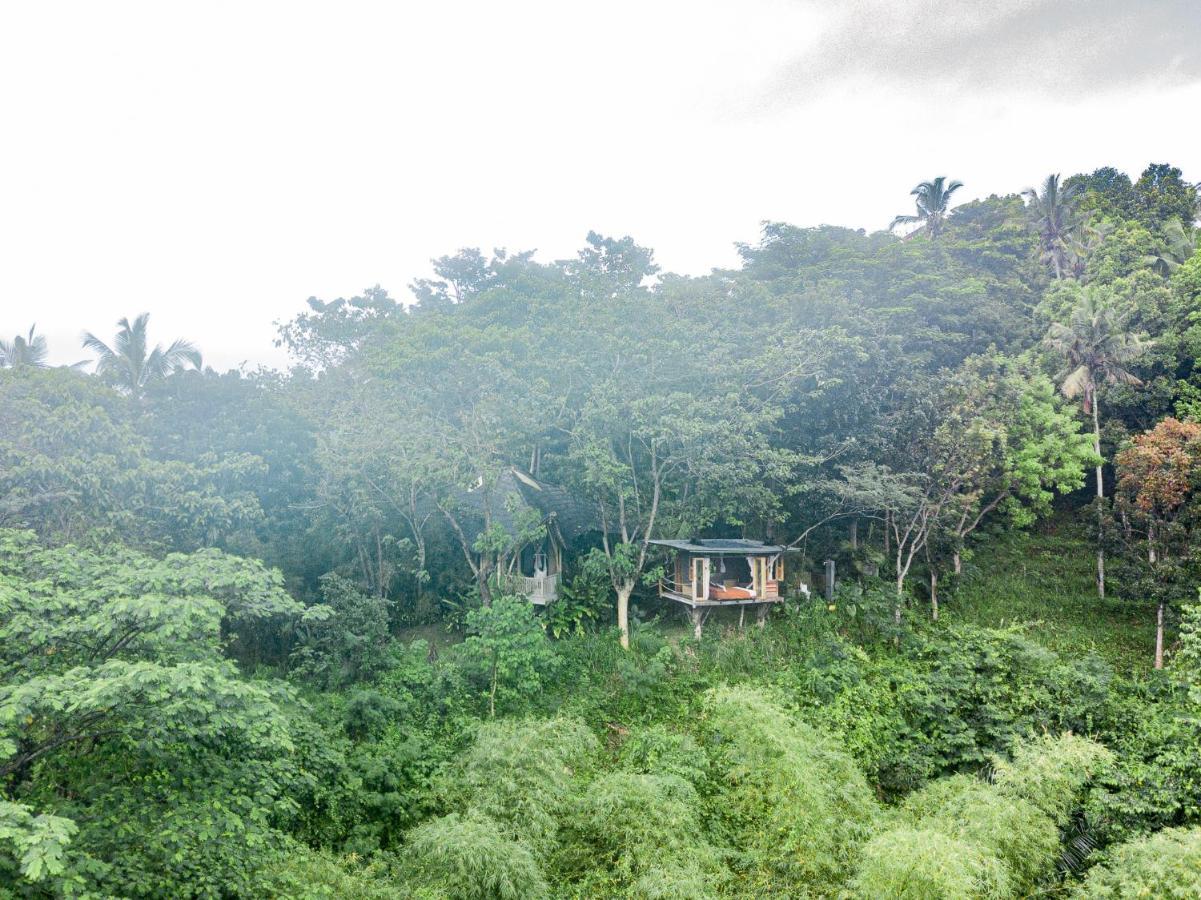 Bird Hills Bamboo House Villa Karangasem Екстериор снимка